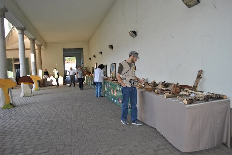 Scopi perseguiti dall’associazione