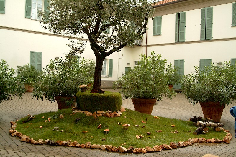 Storia dell'Associazione